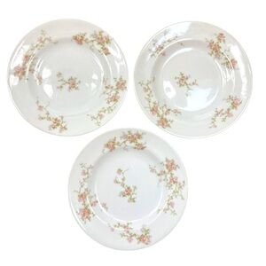 Vintage Theodore Haviland Limoges France Pink Floral Dessert Plates Set of 3